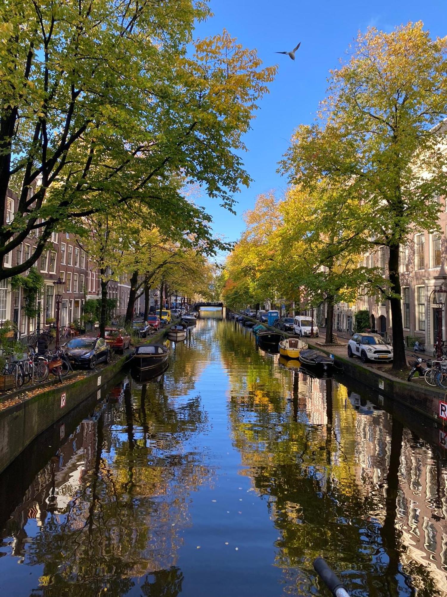 Chez Sybi Hotel Amsterdam Eksteriør billede